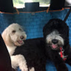 Meet your Posher, Desni